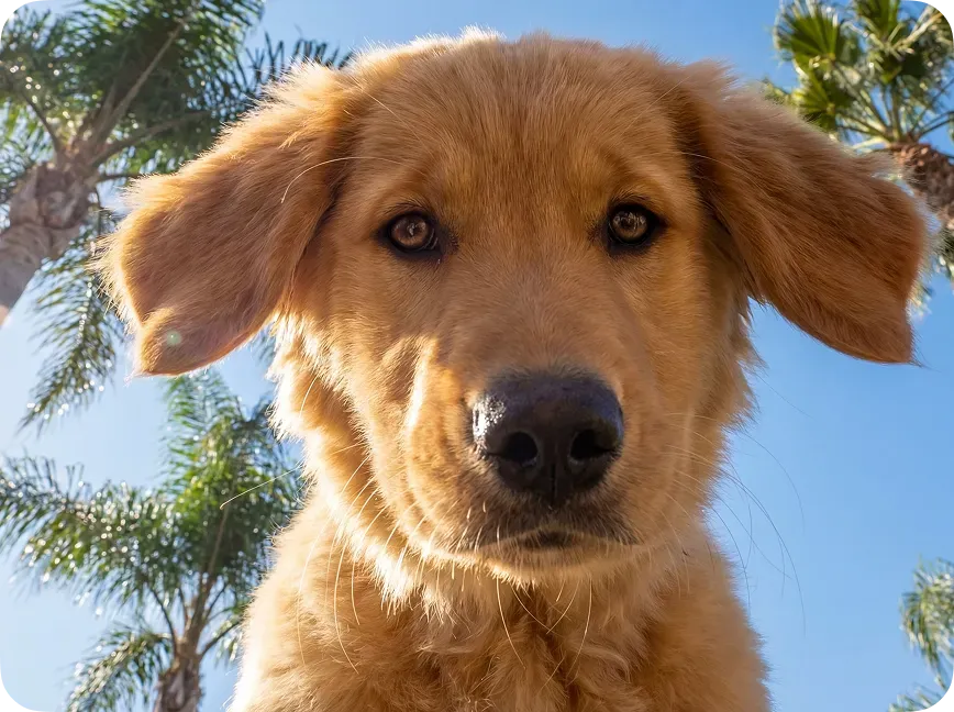 Under 10 Seconds Per Image